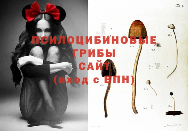 spice Абаза