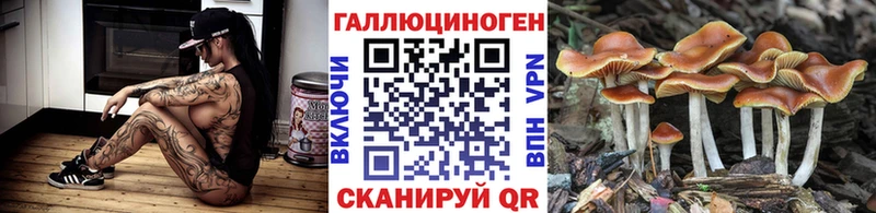 Псилоцибиновые грибы Psilocybine cubensis  Вилючинск 